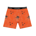 SPIDERS PACKING BOXER BRIEFS